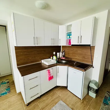 Apartment Hadzin Sisava